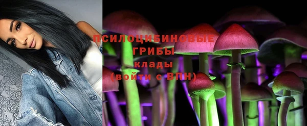 стаф Белоозёрский
