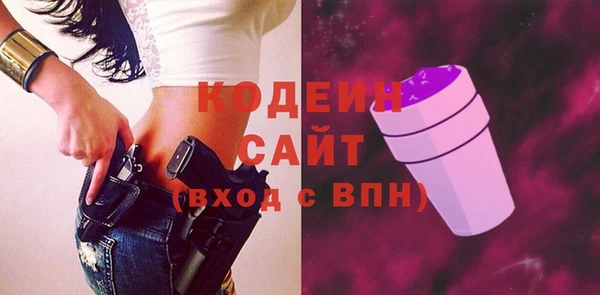хмурый Белокуриха