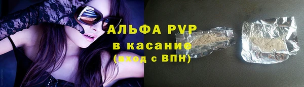 хмурый Белокуриха