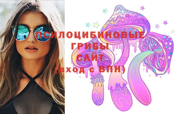 хмурый Белокуриха