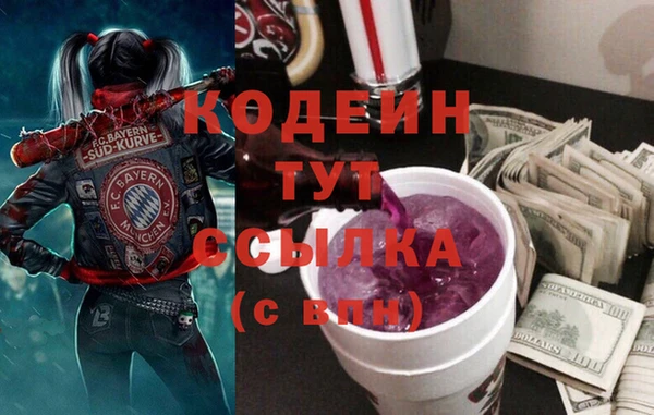 хмурый Белокуриха