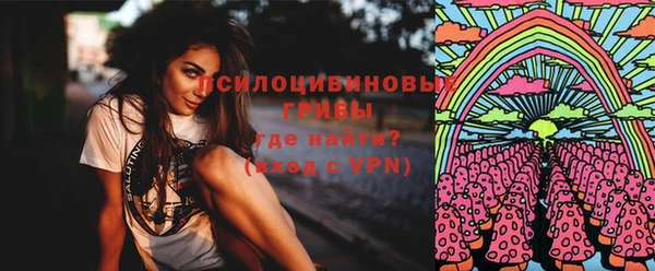 хмурый Белокуриха
