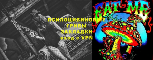 хмурый Белокуриха