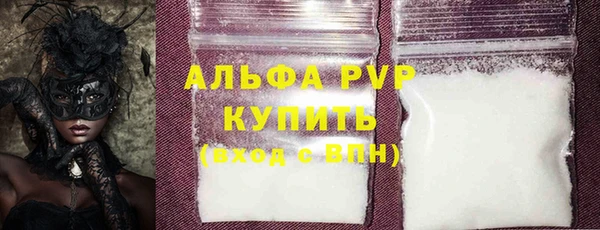 хмурый Белокуриха
