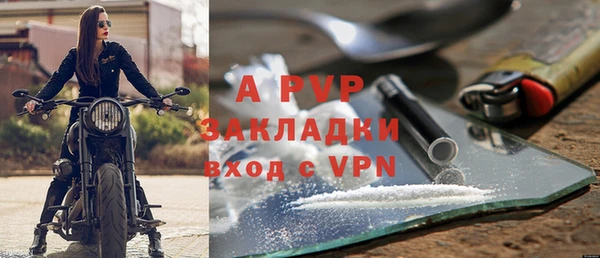 хмурый Белокуриха