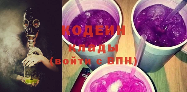 хмурый Белокуриха