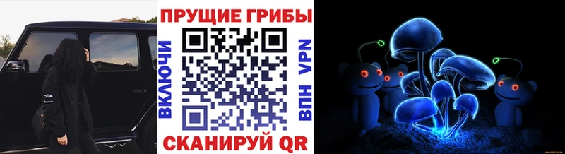 blacksprut зеркало  Красный Холм  Псилоцибиновые грибы мухоморы 